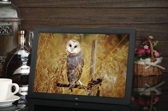 15.4'' LCD Screen 1280x800 LCD Video Brochure USB AVI Black Color Advertising Player