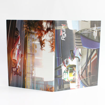 Vidéo DANS la carte visuelle de brochure de mémoire de pouce 4GB du dossier 10,1 avec libre de câble d'USB d'écran tactile fourni