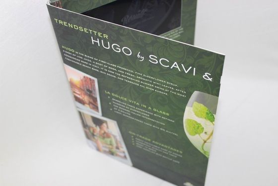 brochure visuelle d'affichage à cristaux liquides de cadeau fastival avec de la mémoire 2GB, carte de voeux visuelle d'affichage à cristaux liquides de 10,1 pouces