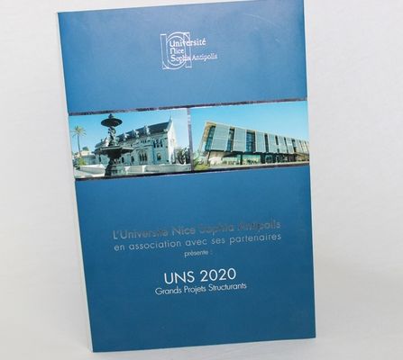 5" carte visuelle de brochure d'impression d'argent, cartes de visite professionnelle de visite visuelles d'affichage à cristaux liquides d'affichage juste