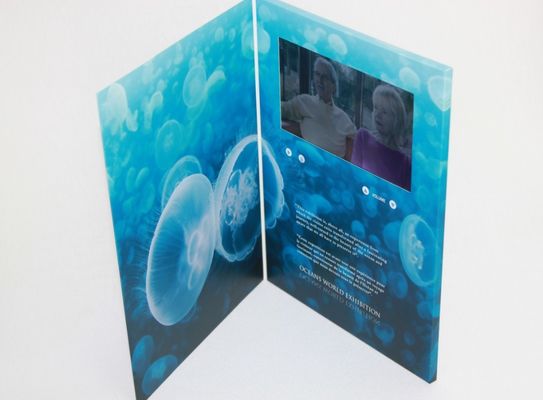 multi fait sur commande - paginez la carte de voeux visuelle faite main d'affichage à cristaux liquides pour l'affichage juste