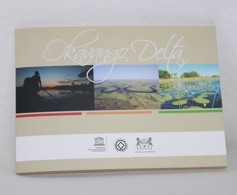 fait main a annoncé la carte visuelle de brochure d'affichage à cristaux liquides, annonce de vidéo de l'affichage à cristaux liquides 2G/4G/8G