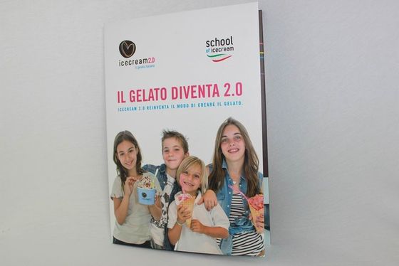4,3/5/7 pouces d'affichage à cristaux liquides de cartes de visite professionnelle de visite visuelles avec USB câblent pour l'intruction de société