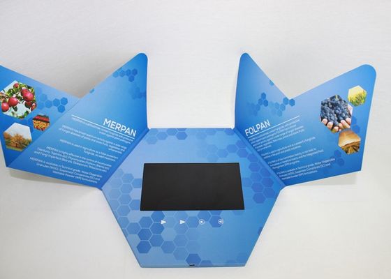 Vidéo rechargeable en brochure d'impression, carte visuelle faite sur commande de brochure d'affichage à cristaux liquides pour la promotion
