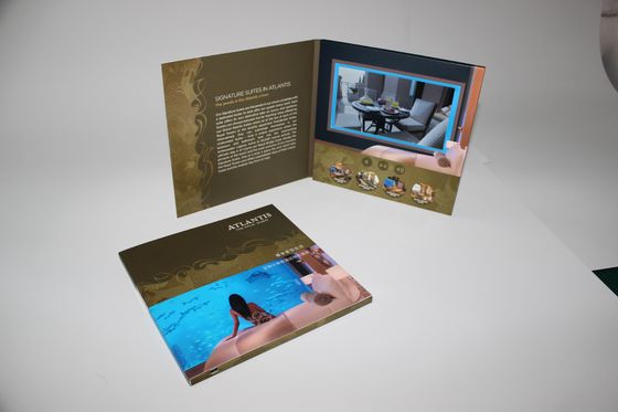 carte visuelle de brochure de la publicité de la mémoire 4G avec le speker intégré, 10.1inch