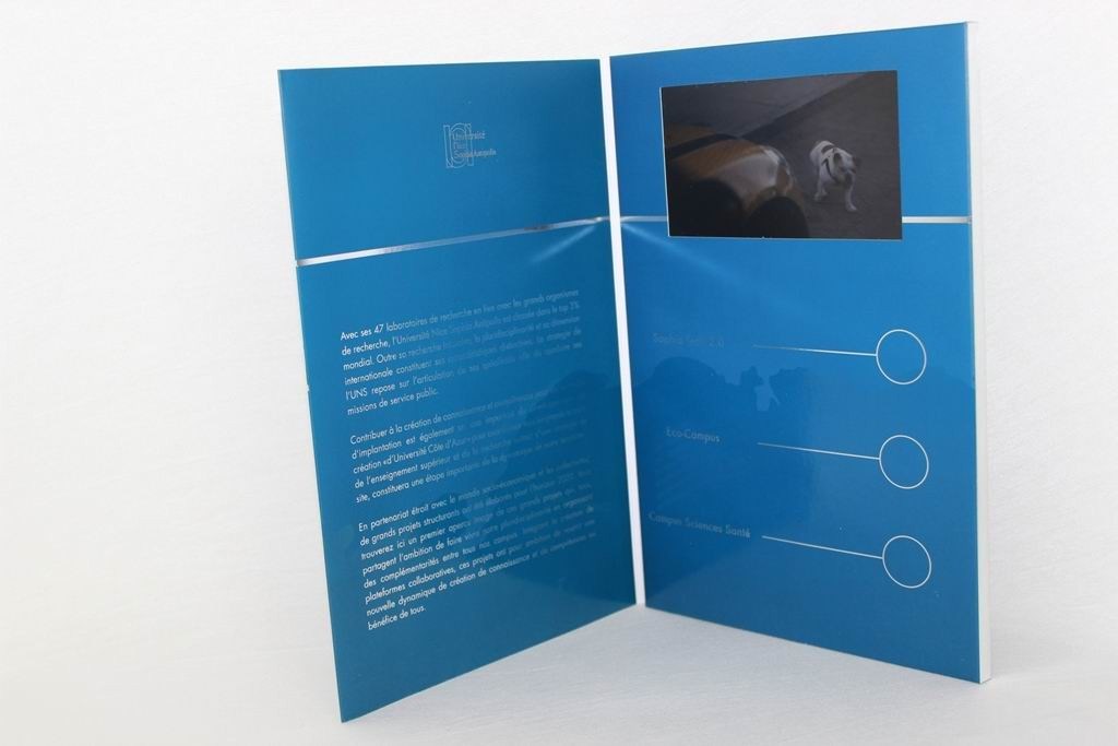 2,4"/4,3"/5"/7"/10,1 » annonces visuelles avec le haut-parleur intégré, brochures d'affichage à cristaux liquides d'écran de TFT avec de la mémoire 512MB